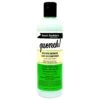 Aunt Jackie's Quench! Moisture Intensive Leave-In Conditioner 12oz