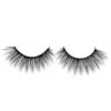 Rd Beauty 3D Silk Lash #Foxy