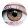 Primal Contact Lenses [Twilight Hazel]