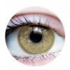 Primal Contact Lenses [Charm Chestnut]
