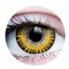 Primal Contact Lenses [Temptress Chestnut]