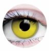 Primal Contact Lenses [Raven]