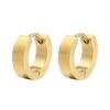 Nude Rose Stainless Steel 18K Gold Wide Small Chunky Earring #E-192
