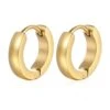 Nude Rose Stainless Steel 18K Gold Flat Tiny Hoop Earring #E-193