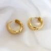 Nude Rose Stainless Steel 18K Gold Wide Small Bold Earring #E-202