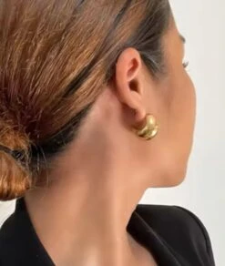 Nude Rose Stainless Steel 18K Gold Hollow Chunky Earring #E-220 -Clore Beauty Store G00018930 2