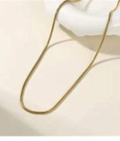 Nude Rose Stainless Steel 18K Gold Plated 2Mm Snake Chain Necklace #N-110