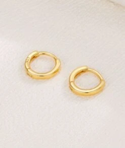 Nude Rose Stainless Steel 18Mm Hoop Earrings