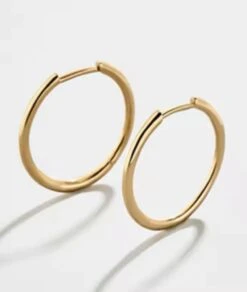Nude Rose Stainless Steel 20Mm Hoop Earrings