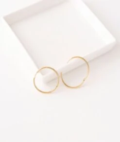 Nude Rose Stainless Steel 30Mm Hoop Earrings