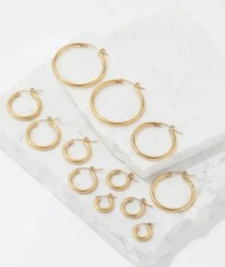 Nude Rose Stainless Steel 18K Gold Plated 35Mm Hoop Earrings #E-306