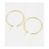 Nude Rose Stainless Steel 40Mm Hoop Earrings