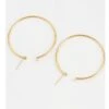 Nude Rose Stainless Steel 18K Gold Plated 50Mm Hoop Earrings #E-309