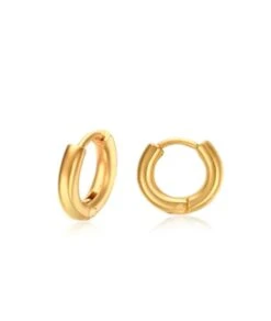 Nude Rose Stainless Steel 18K Gold Plated Thick 8Mm Hoop Earrings #E-313