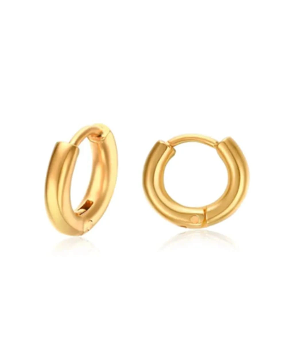 Nude Rose Stainless Steel Thick 10Mm Hoop Earrings 1 Nude Rose Stainless Steel Thick 10Mm Hoop Earrings