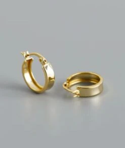 Nude Rose Stainless Steel 3*7Mm Wide Hoop Earrings