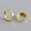 Nude Rose Stainless Steel 3*9Mm Wide Hoop Earrings