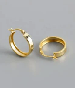 Nude Rose Stainless Steel 3*9Mm Wide Hoop Earrings