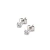 Nude Rose Stainless Steel Zircon Stud Earrings
