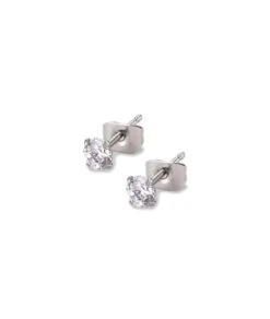 Nude Rose Stainless Steel Zircon Stud Earrings -Clore Beauty Store G00020275 2