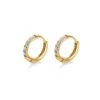 Nude Rose Stainless Steel Zicron 1.6* 10Mm Hoop Round Earrings