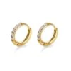 Nude Rose Stainless Steel Zicron 1.6* 12Mm Hoop Round Earrings