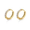 Nude Rose Stainless Steel Zicron 2* 14Mm Hoop Round Earrings