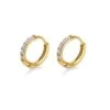 Nude Rose Stainless Steel 18K Gold Plated Zicron Hoop Flat Earrings