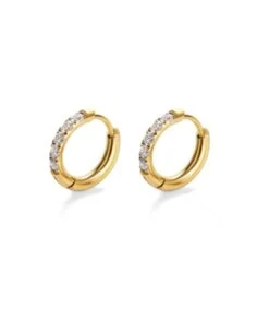 Nude Rose Stainless Steel 18K Gold Plated Zicron Hoop Flat Earrings