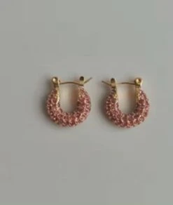 Nude Rose Stainless Steel 18K Gold Plated Pink Cubic Small Bold Earrings #E-415