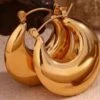 Nude Rose Stainless Steel 18K Gold Plated Hollow Chunky Hoop Earrings #E-437