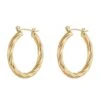 Nude Rose Stainless Steel 18K Gold Plated Double Twisted Hoop Earrings #E-452
