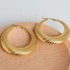Nude Rose Stainless Steel 18K Gold Plated Big Large Hoop Earrings #E-457